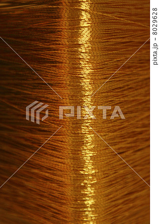 金糸 金糸 8029628