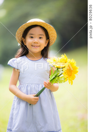 夏の女の子 8029636