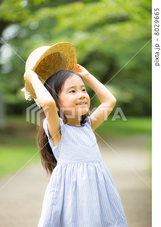夏の女の子 8029665