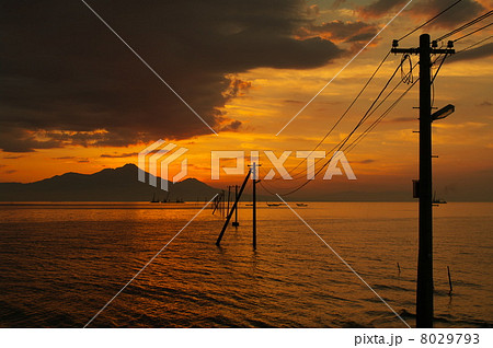 御輿来海岸の夕べ 御輿来海岸の夕べ 8029793