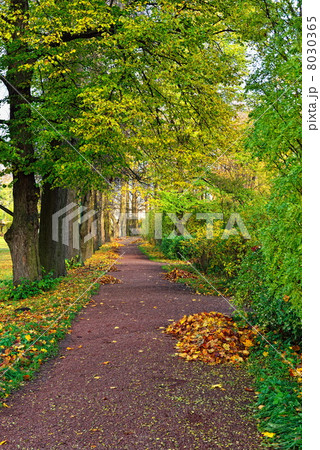 Autumn landscape in Catherine garden,  Pushkin, 8030365