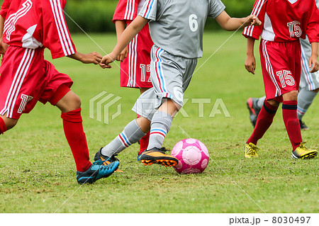 サッカー サッカー 8030497