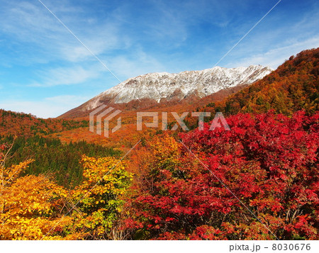 鍵掛峠からの大山紅葉 8030676