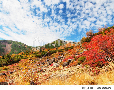 紅葉の乗鞍岳 8030689