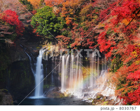 紅葉の白糸の滝 8030767