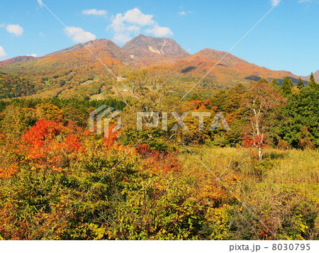 紅葉の妙高山 8030795