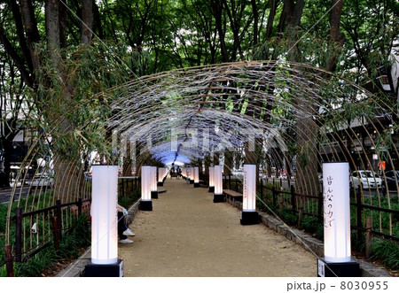 希望・未来への道 8030955