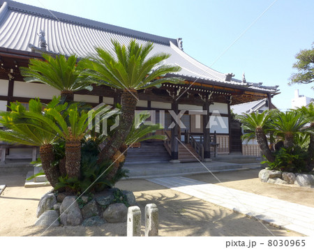 樹敬寺（三重県松阪市） 8030965