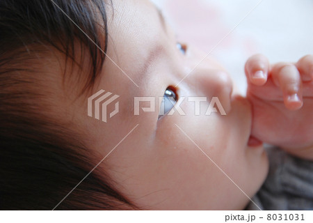 指しゃぶり 8031031