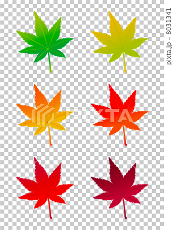 Autumn illustration autumn leaves Autumn illustration autumn leaves 8031341