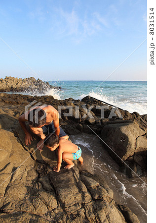 父と子、海で磯取り 8031514