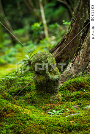 京都　大原三千院　わらべ地蔵 8031538