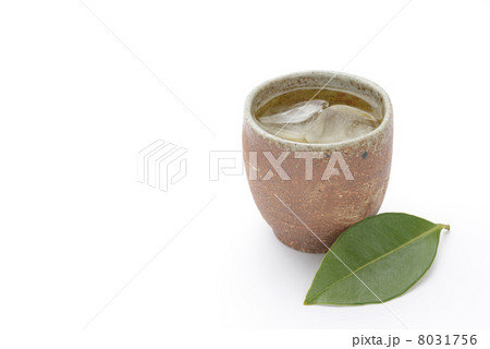 お茶 お茶 8031756