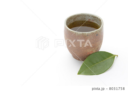 お茶 お茶 8031758