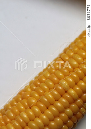 プチプチジューシーな北海道産の茹でたトウモロコシ プチプチジューシーな北海道産の茹でたトウモロコシ 8031771