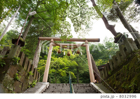 伊香保神社 8032996