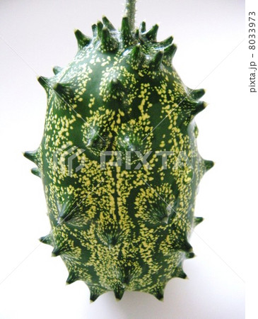 キワーノ キワーノ 8033973