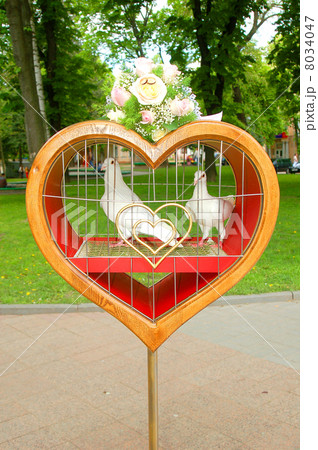 pigeons in heart 8034047