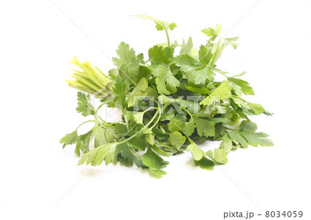 parsley parsley 8034059