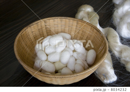 繭玉 繭玉 8034232