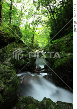 音水渓谷 音水渓谷 8034304