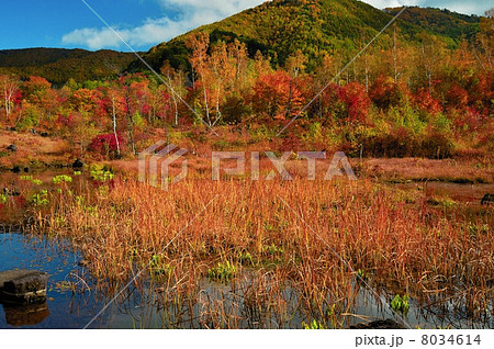 乗鞍高原まいめの池 8034614