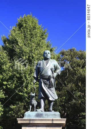 東京都・上野公園の西郷隆盛銅像 8034647