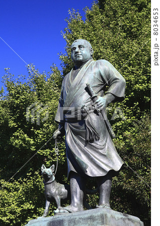 東京都・上野公園の西郷隆盛銅像 8034653