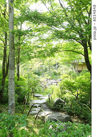 庭園 庭園 8034848