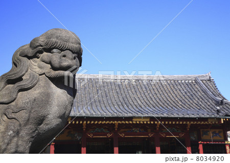 東京都・春の浅草神社 東京都・春の浅草神社 8034920