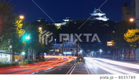 夜の和歌山城　和歌山県和歌山市 8035789