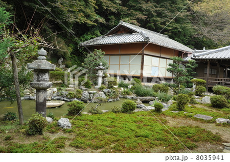 滋賀　西教寺の庭園 8035941
