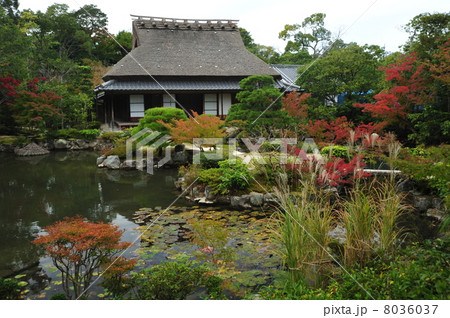 奈良　依水園の前庭 8036037