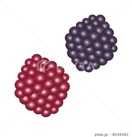 ブラックベリー 8036082