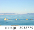 奥松島　連なる岩 8038779