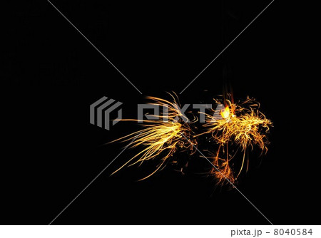 花火 8040584