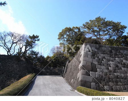 皇居東御苑　汐見坂 8040827