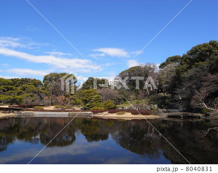 皇居東御苑　二の丸庭園の二の丸池　 8040831