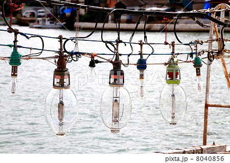 イカ釣り船 イカ釣り船 8040856