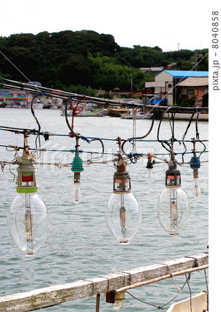 イカ釣り船 イカ釣り船 8040858