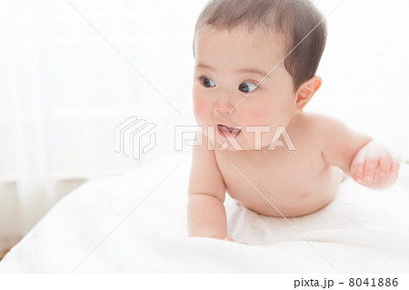 0歳児　あかちゃん　生後７ヶ月の女の子の赤ちゃん 8041886