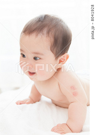 0歳児　あかちゃん　生後７ヶ月の女の子の赤ちゃん 8041928