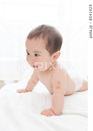 0歳児　あかちゃん　生後７ヶ月の女の子の赤ちゃん 8041929