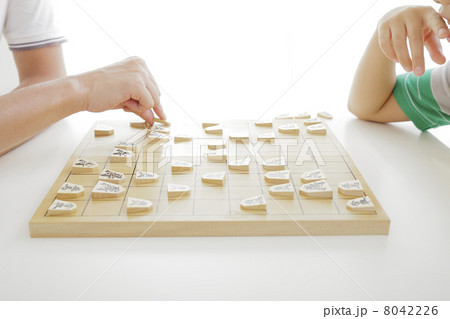 将棋 8042226