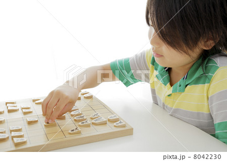 将棋 8042230