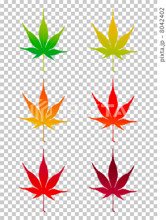 秋天例證秋葉 秋天例證秋葉 8042402