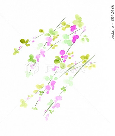 萩の風 萩の風 8042436