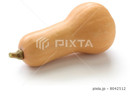 バターナッツカボチャ バターナッツカボチャ 8042512