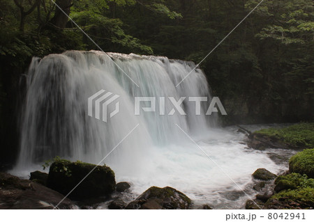 奥入瀬渓流 奥入瀬渓流 8042941