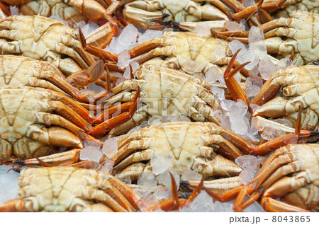 fresh crabs in the market 8043865